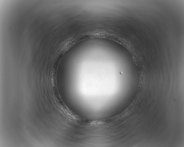 X0000080670762200612150801