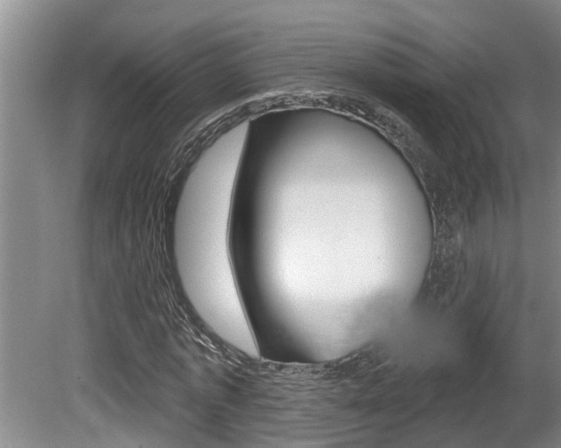 X0000080670773200612150800