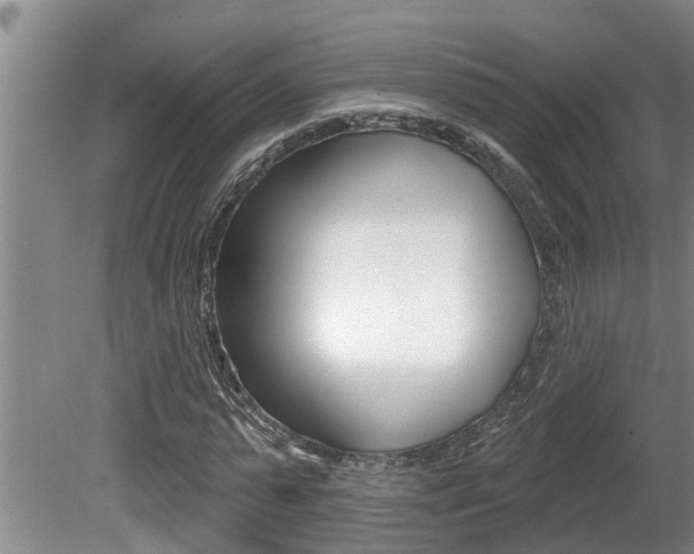 X0000080670775200612150800