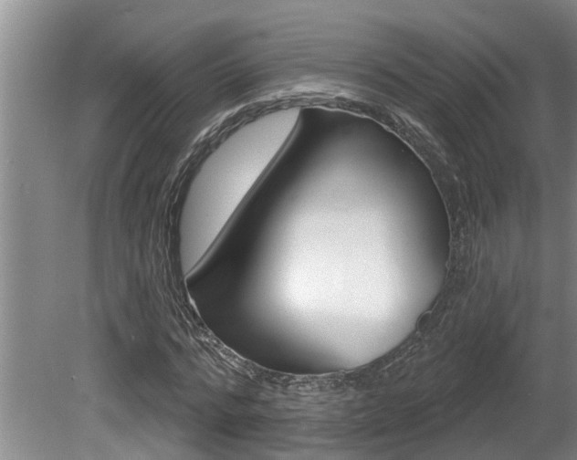 X0000080670776200612150800
