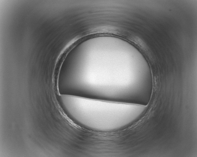 X0000080670780200612150800