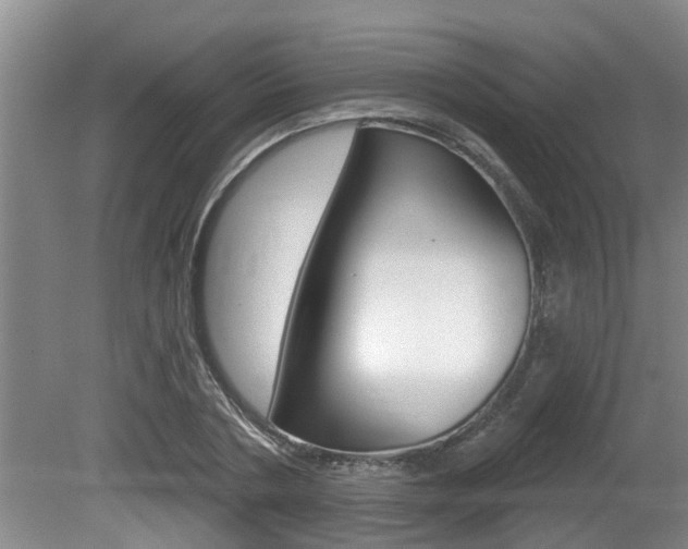 X0000080670786200612150800