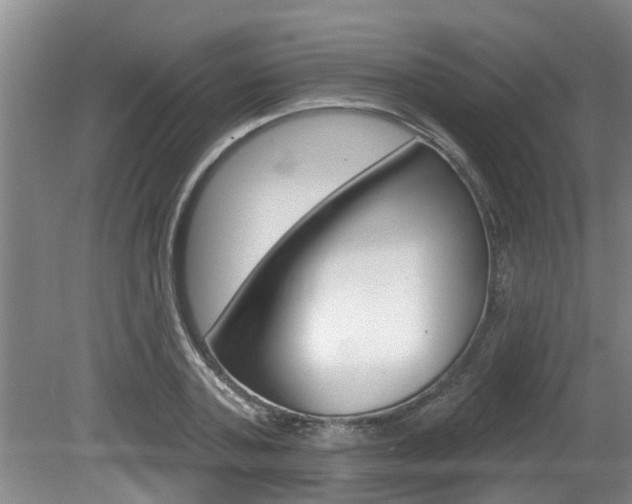 X0000080670787200612150800