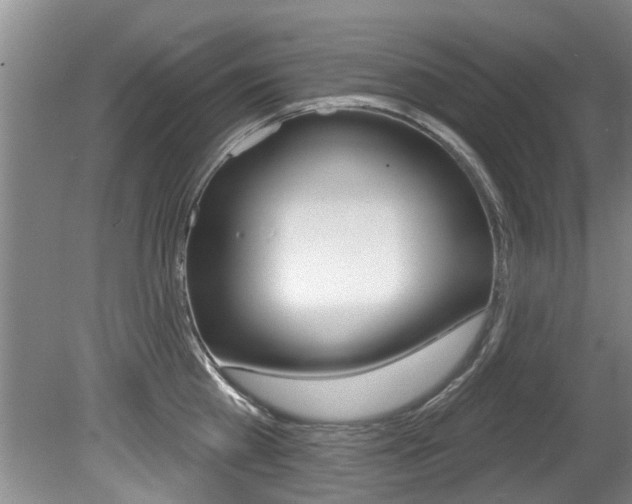 X0000080670809200612150800