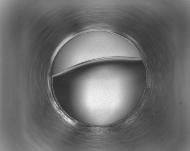 X0000080670812200612150800