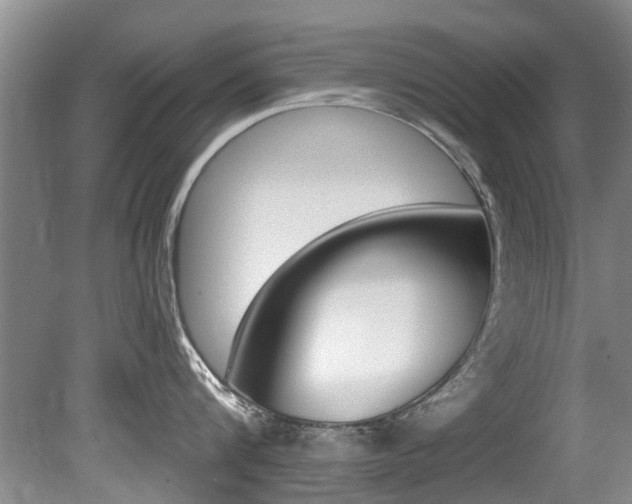 X0000080670816200612150759