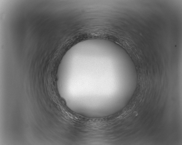 X0000080670817200612150759