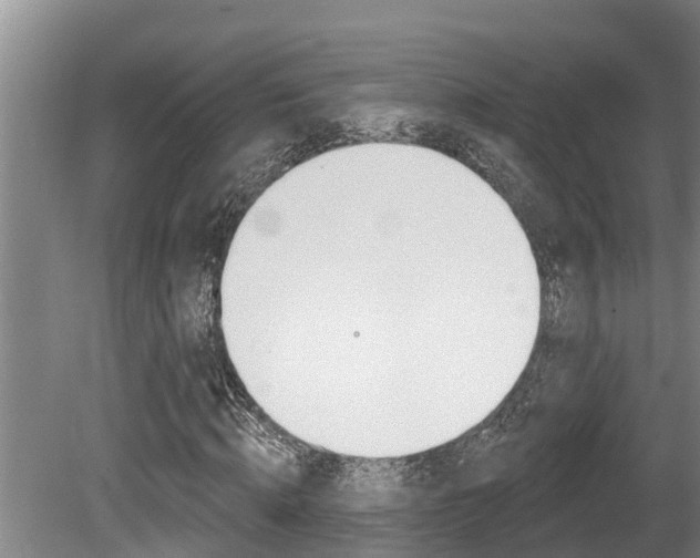 X0000080670820200612150759