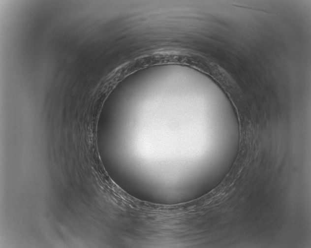 X0000080670821200612150759