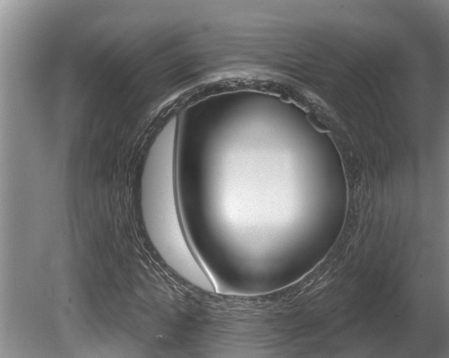 X0000080670822200612150759