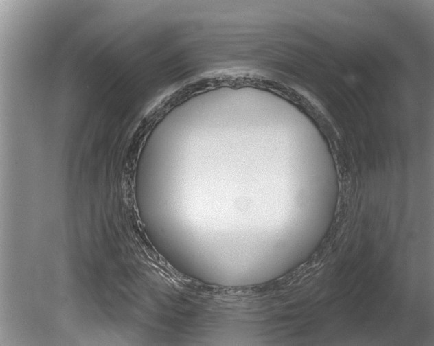 X0000080670823200612150759