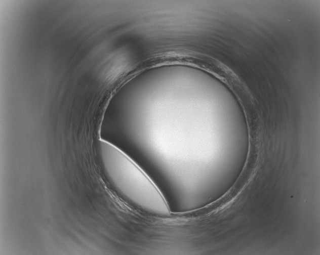 X0000080670825200612150759