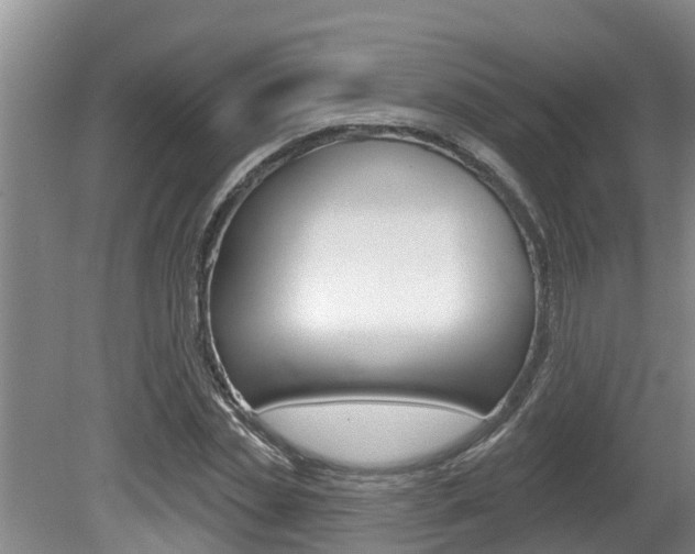 X0000080670829200612150759