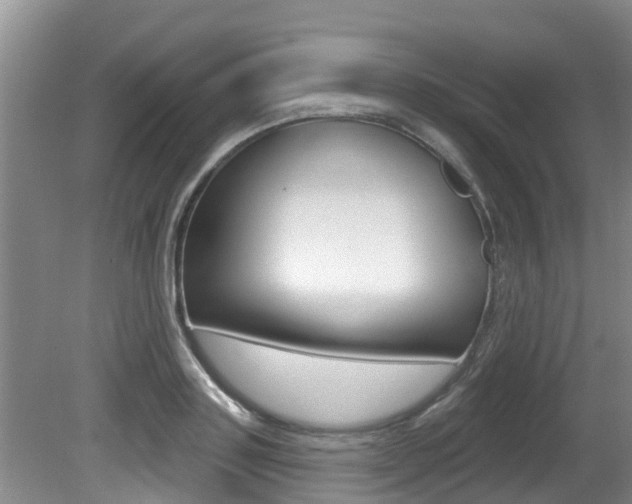 X0000080670843200612150759