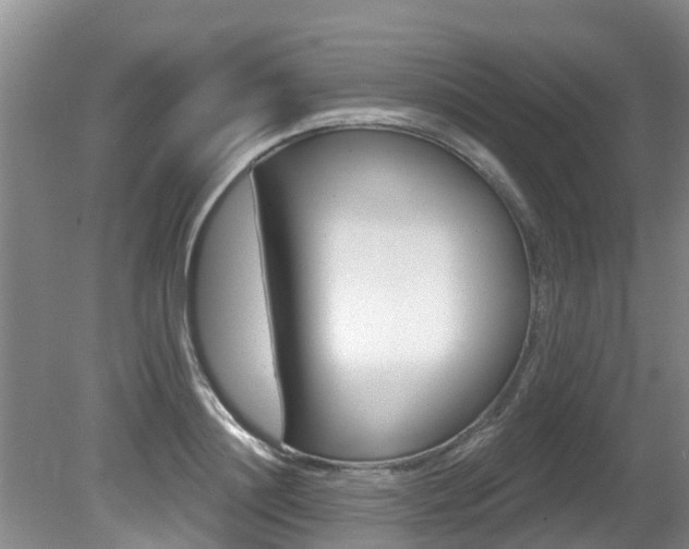 X0000080670844200612150759