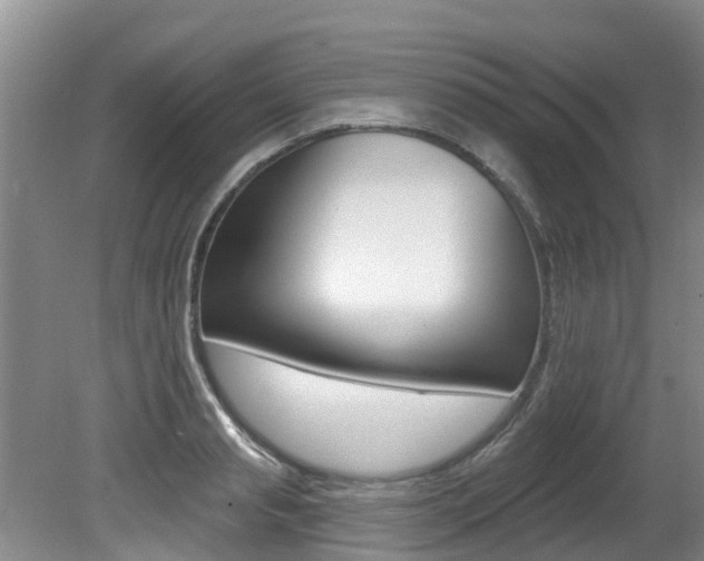 X0000080670845200612150759