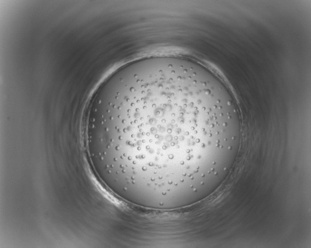 X0000080670851200612150759