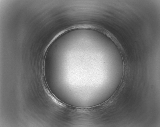 X0000080670852200612150759