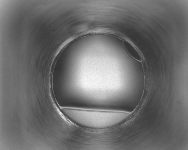 X0000080670853200612150759