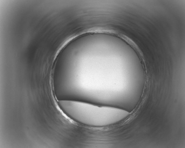 X0000080670855200612150759