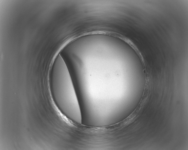 X0000080670859200612150759