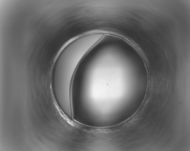 X0000080670862200612150759