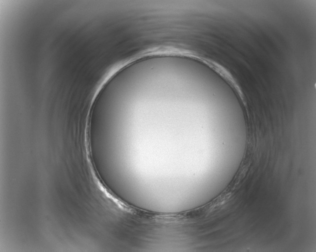 X0000080670863200612150759