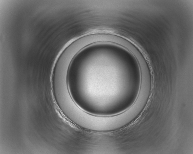 X0000080670864200612150759