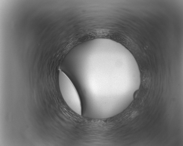 X0000080670866200612150759