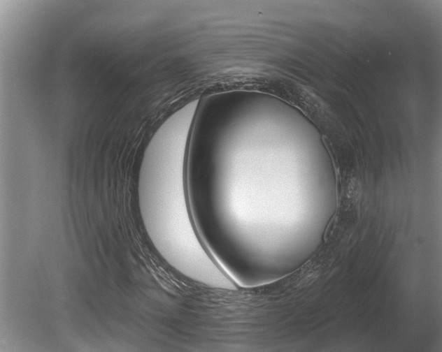 X0000080670868200612150759