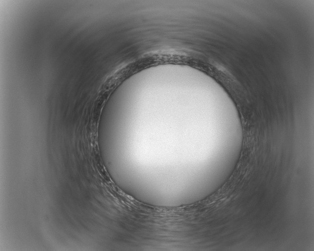 X0000080670870200612150759