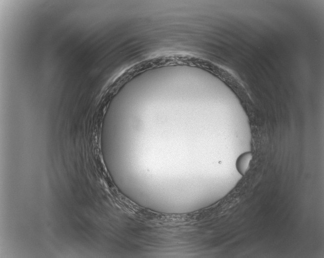 X0000080670871200612150759