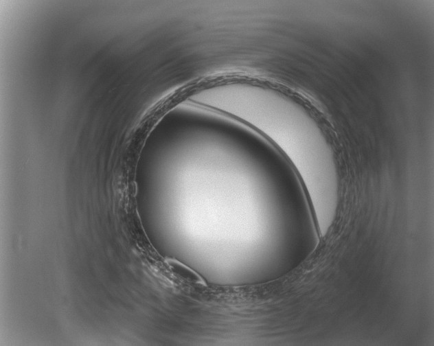 X0000080670872200612150759