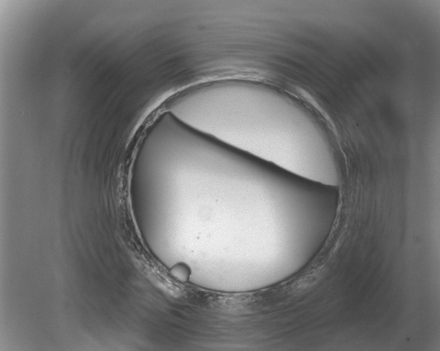 X0000080670875200612150758
