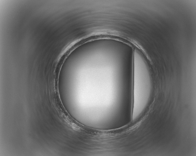 X0000080670877200612150758