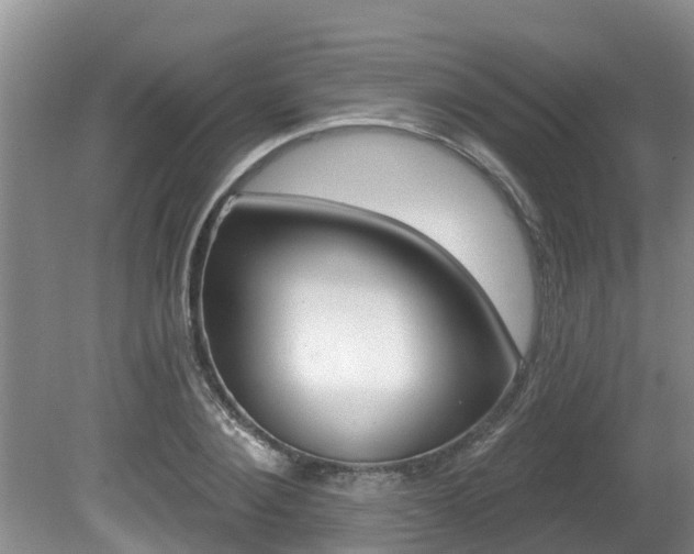 X0000080670884200612150758