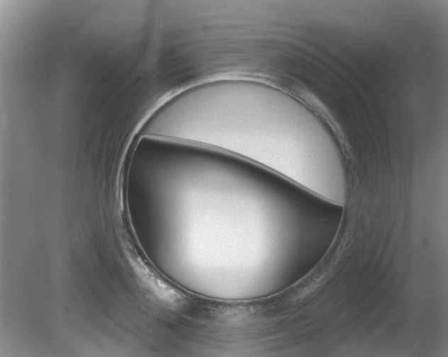 X0000080670892200612150758