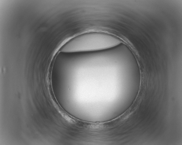 X0000080670893200612150758