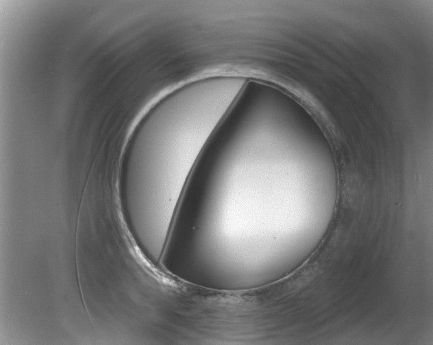 X0000080670896200612150758
