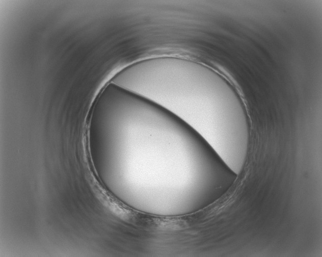X0000080670899200612150758
