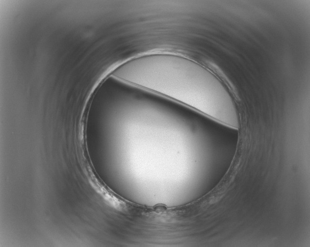 X0000080670900200612150758