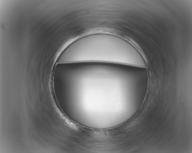 X0000080670901200612150758