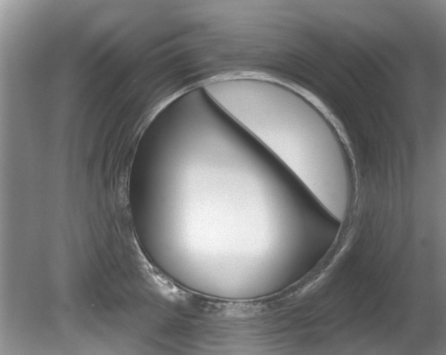 X0000080670905200612150758