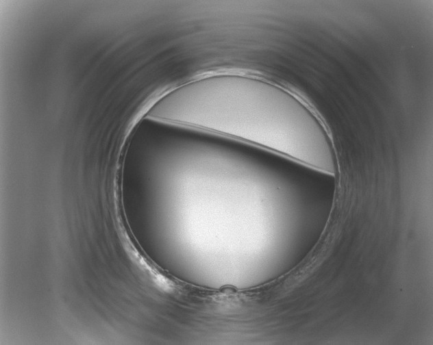 X0000080670906200612150758