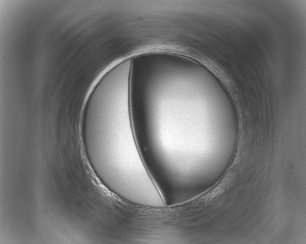 X0000080670912200612150758