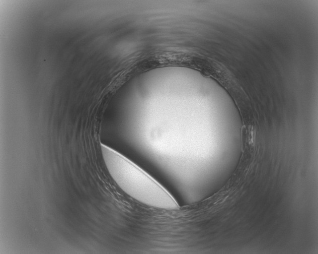 X0000080670915200612150757