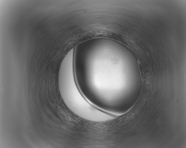 X0000080670916200612150757