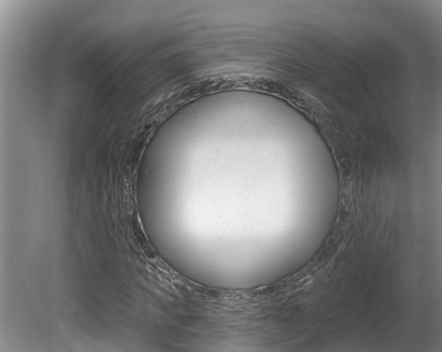 X0000080670917200612150757