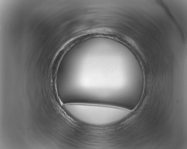 X0000080670923200612150757