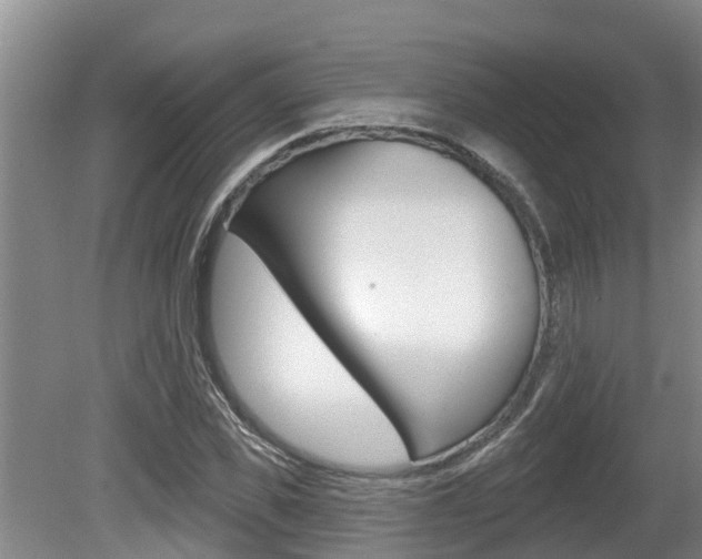 X0000080670925200612150757